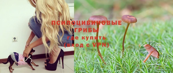 ешки Заволжск