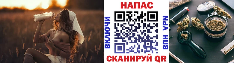 Купить Руза Шишки марихуана MAZAR